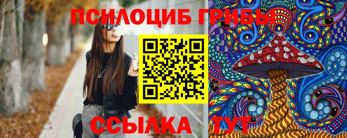 Псилоцибиновые грибы прущие грибы Миллерово