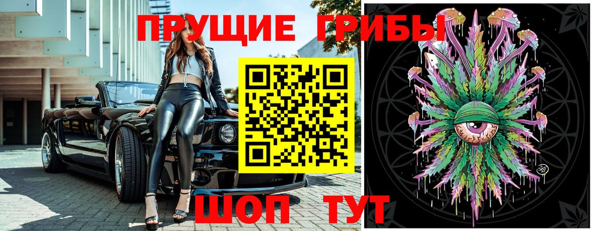 Галлюциногенные грибы GOLDEN TEACHER  Вход с VPN  Галлюциногенные грибы Cubensis  Миллерово 
